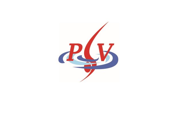 PSV Schoonspringen logo