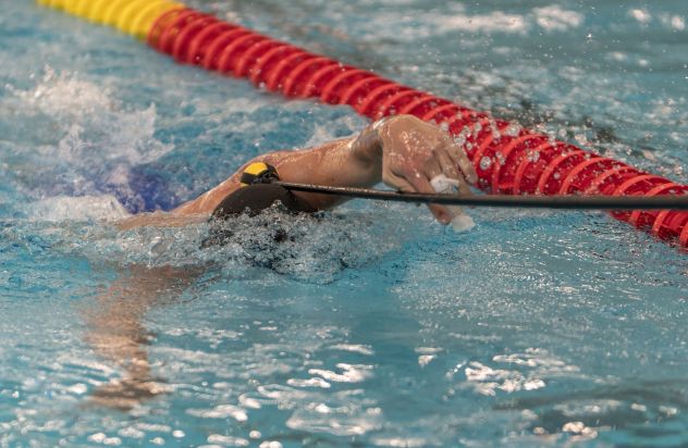 Rogier aantikstok para