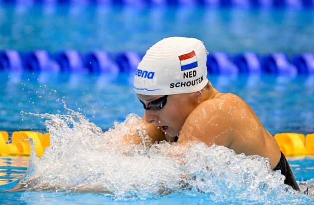 Tes Schouten BSR AGENCY