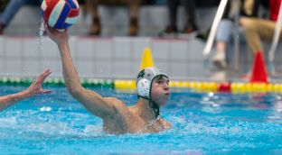 Sam Kunz Orange Pictures Polar Bears