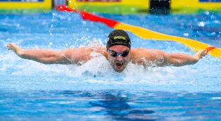 57427330 BSR AGENCY nyls